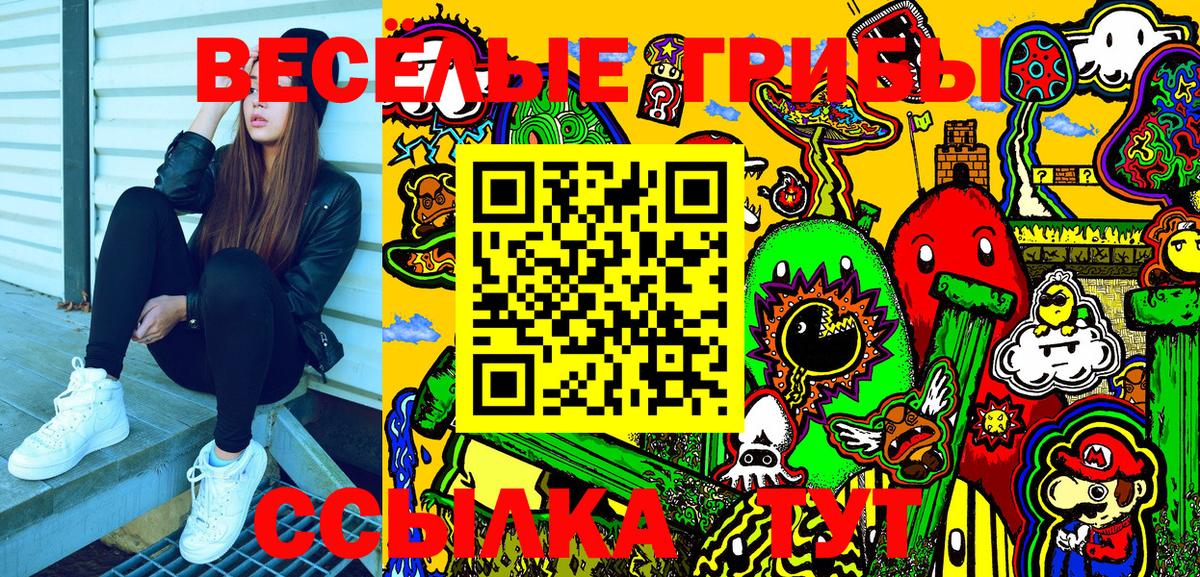 Галлюциногенные грибы Psilocybe Торжок
